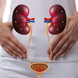 Urinary Tract infections Treatment in Miyapur